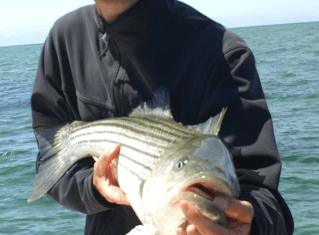 Rock Harbor Classic Sportfish