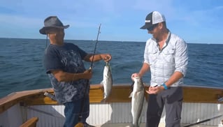 Rock Harbor Classic Sportfish