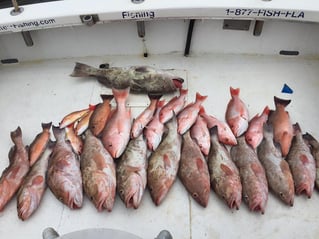 St. Pete Offshore Experience