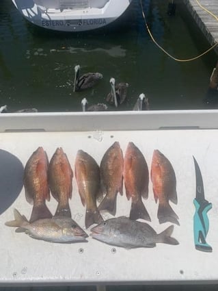 Fort Myers Inshore Fishing Trip