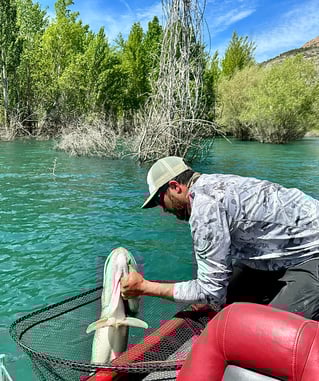 Monster Pike High Mountain Lakes