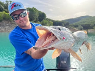 Monster Pike High Mountain Lakes