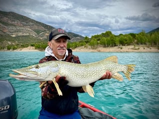 Monster Pike High Mountain Lakes