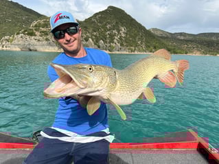 Monster Pike High Mountain Lakes