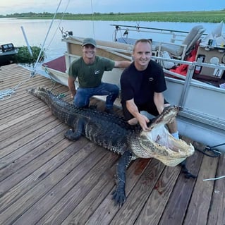 4-6' Central FL Gator Hunt