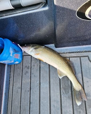 Half-Day Lake Erie Hook-Up