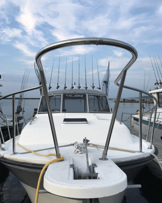 Lake Erie Catch-Em-Up Trip