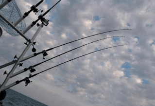 Lake Erie Catch-Em-Up Trip