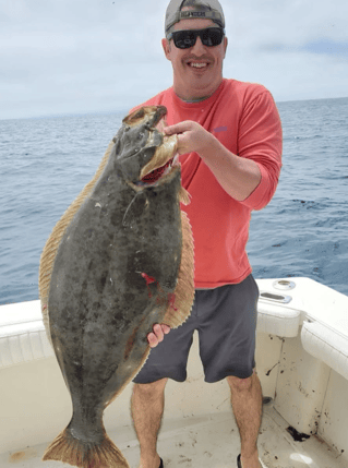 San Diego Bay Half Day Trip