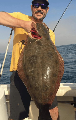 San Diego Bay Half Day Trip