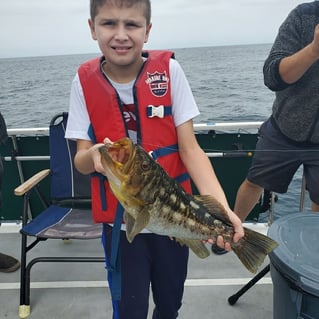 LA Inshore/Nearshore Classic