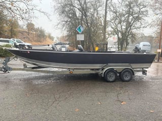 Sacramento River Kings