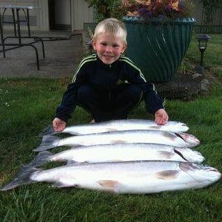 Columbia River Chinook Salmon
