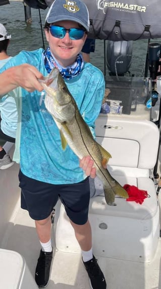 Half Day Inshore - 24' Proline