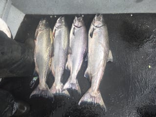 "Elma's Finest" Jet Boat Trip