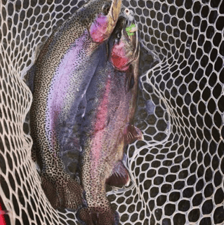 Hill Country Bass Trip