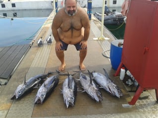 Albacore Tuna Fishing in Neos Marmaras, Greece