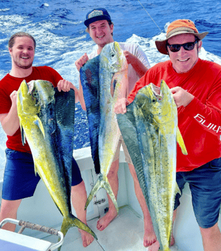Kona Coast Big Game Fishing