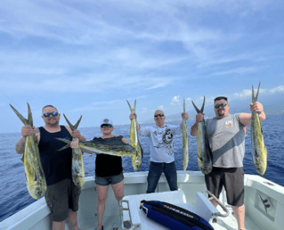 Kona Coast Big Game Fishing