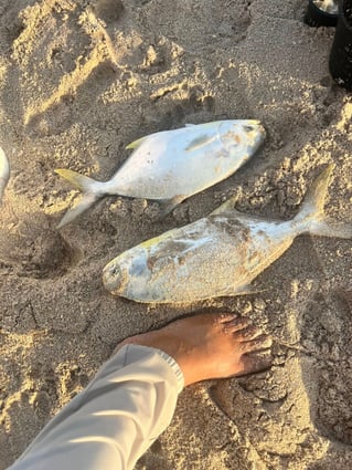 Pompano Surf Fishing Special