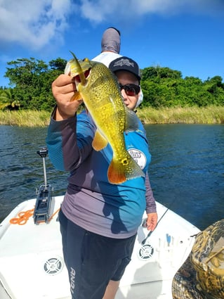 Peacock Bass Fishing in Vega Baja, Puerto Rico