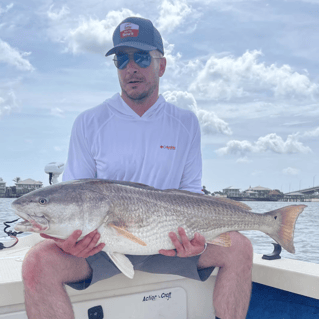 Inshore Rod Bending Action