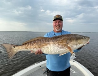 Big Ol' Flathead Catfish Catch