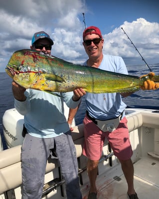 Offshore Reefs and More