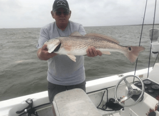 Corpus Bay Fishing Adventure