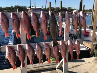PCB Trolling and Bottom Fishing