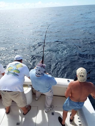 PCB Trolling and Bottom Fishing