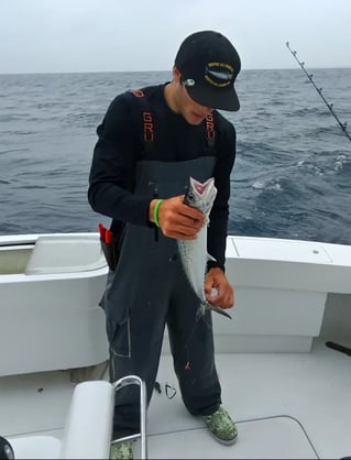 Riviera Beach Luxury Half Day