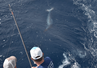 Riviera Beach Luxury Half Day