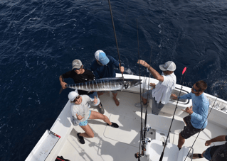 Riviera Beach Luxury Half Day