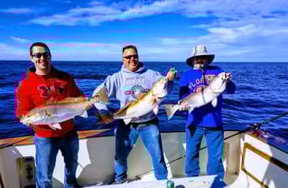 Nearshore and Jetties