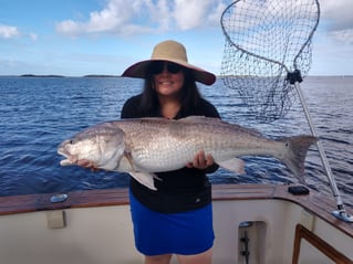Nearshore and Jetties