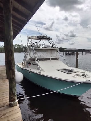 Federal Red Snapper Romp