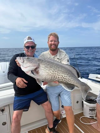 St. Pete Deep Water Bottomfishing