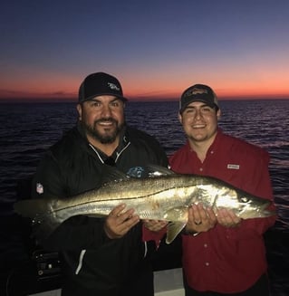 Clearwater Inshore Fishing