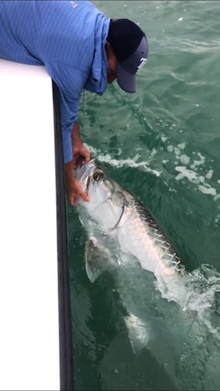 Clearwater Inshore Fishing