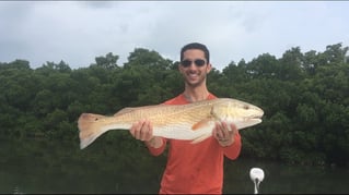 Clearwater Inshore Fishing
