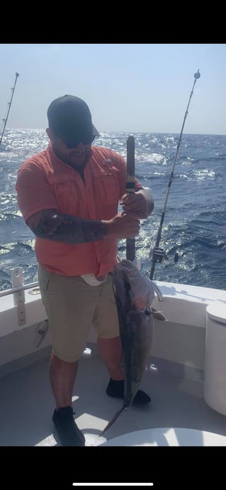 The Ole Destin Special
