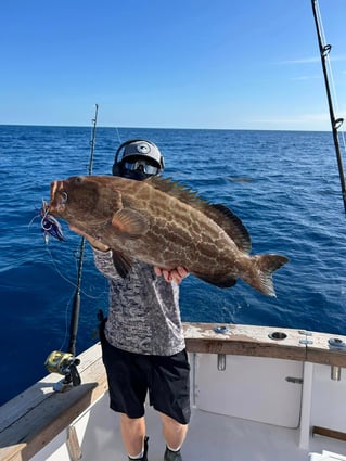 Key West Sportfishing Adventure!