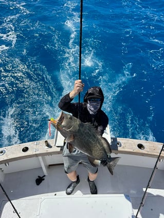 Key West Sportfishing Adventure!