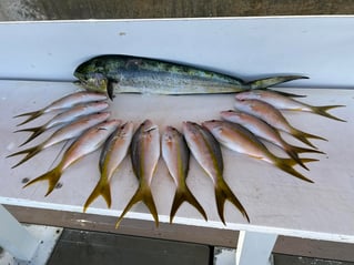 Key West Sportfishing Adventure!