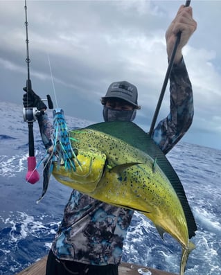 Key West Sportfishing Adventure!