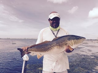 Poisson Redfish on the Fly