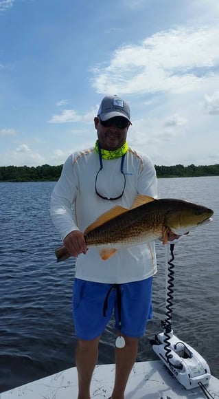 Poisson Redfish on the Fly