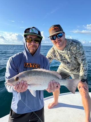 Grandslam On The Fly