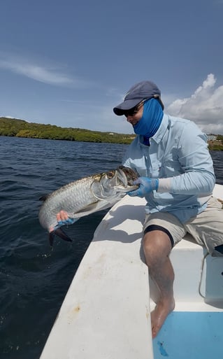 Grandslam On The Fly